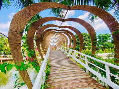 Forever Green Resort