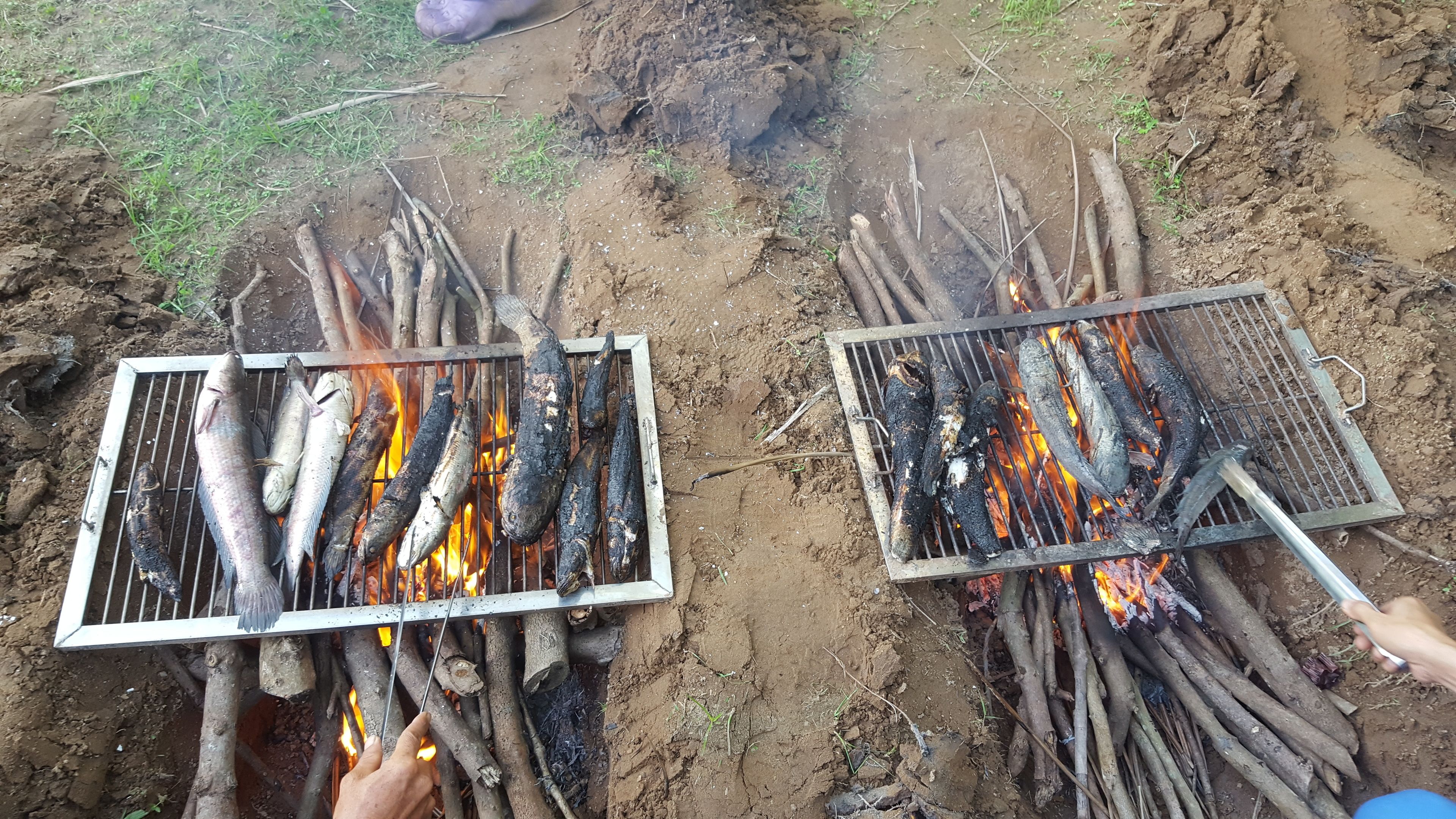 Deux grils sur lesquels on fait cuire du poisson au feu de bois.