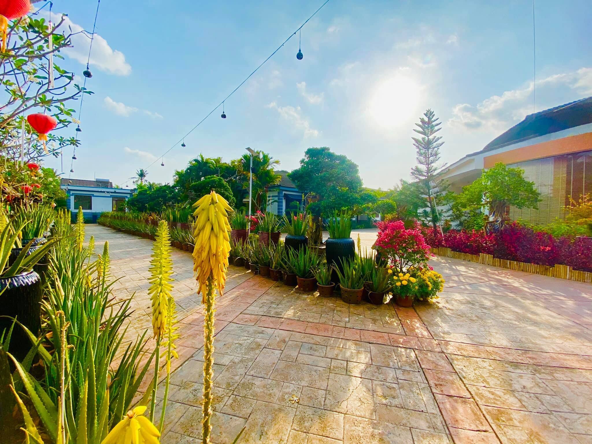 A paved pathway lined with various potted plants and flowers, leading to a building with a blue and white facade.