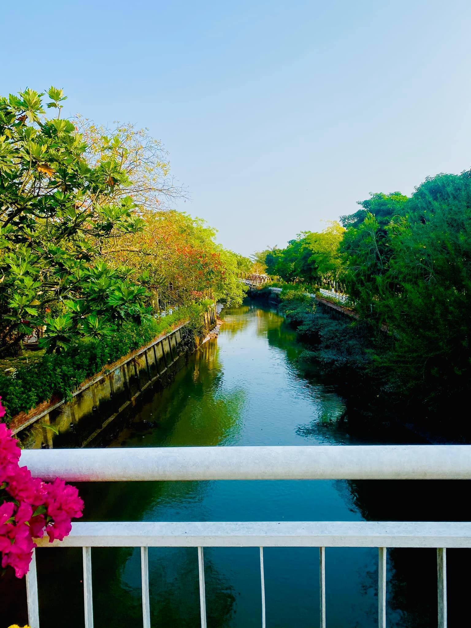 Escena serena de un río con exuberante vegetación y un puente.