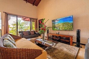 Televisor intel·ligent, reproductor de DVD, llibres i videoteca 