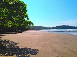 Playa en los alrededores, camastros y toallas de playa 