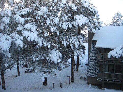 Large Ski Condo - 5 min. to Lifts