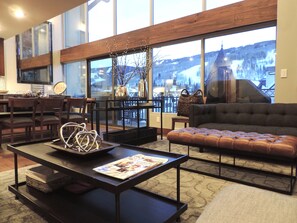 TV, fireplace, DVD player, video library