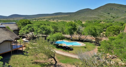 Garden Route Safari Camp
