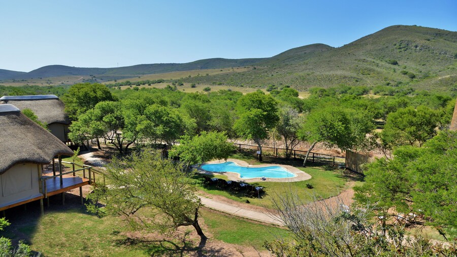 Garden Route Safari Camp