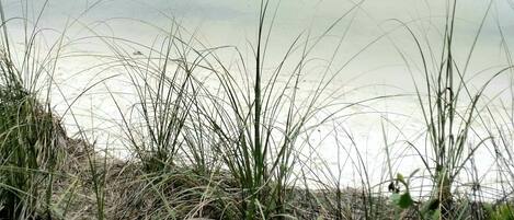 Beach nearby, sun-loungers, beach towels