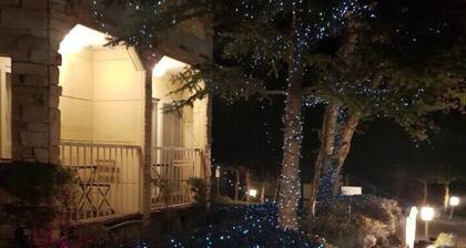 Nikko Ikoi Hotel