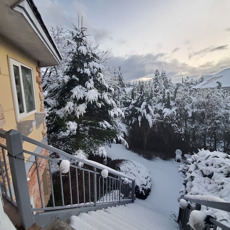 A snow-covered outdoor area with a staircase leading to a building entrance, surrounded by snow-laden trees and a clear sky.