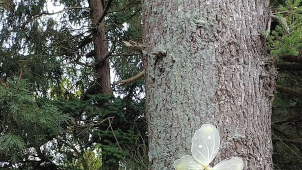 Un árbol con un cartel que dice 'ENCHANTED FOREST' y una pegatina con forma de mariposa.