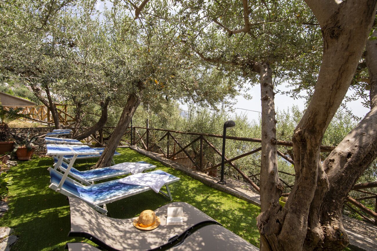 Un área de estar al aire libre con sillones azules y una mesa, rodeada de olivos y una valla de madera.