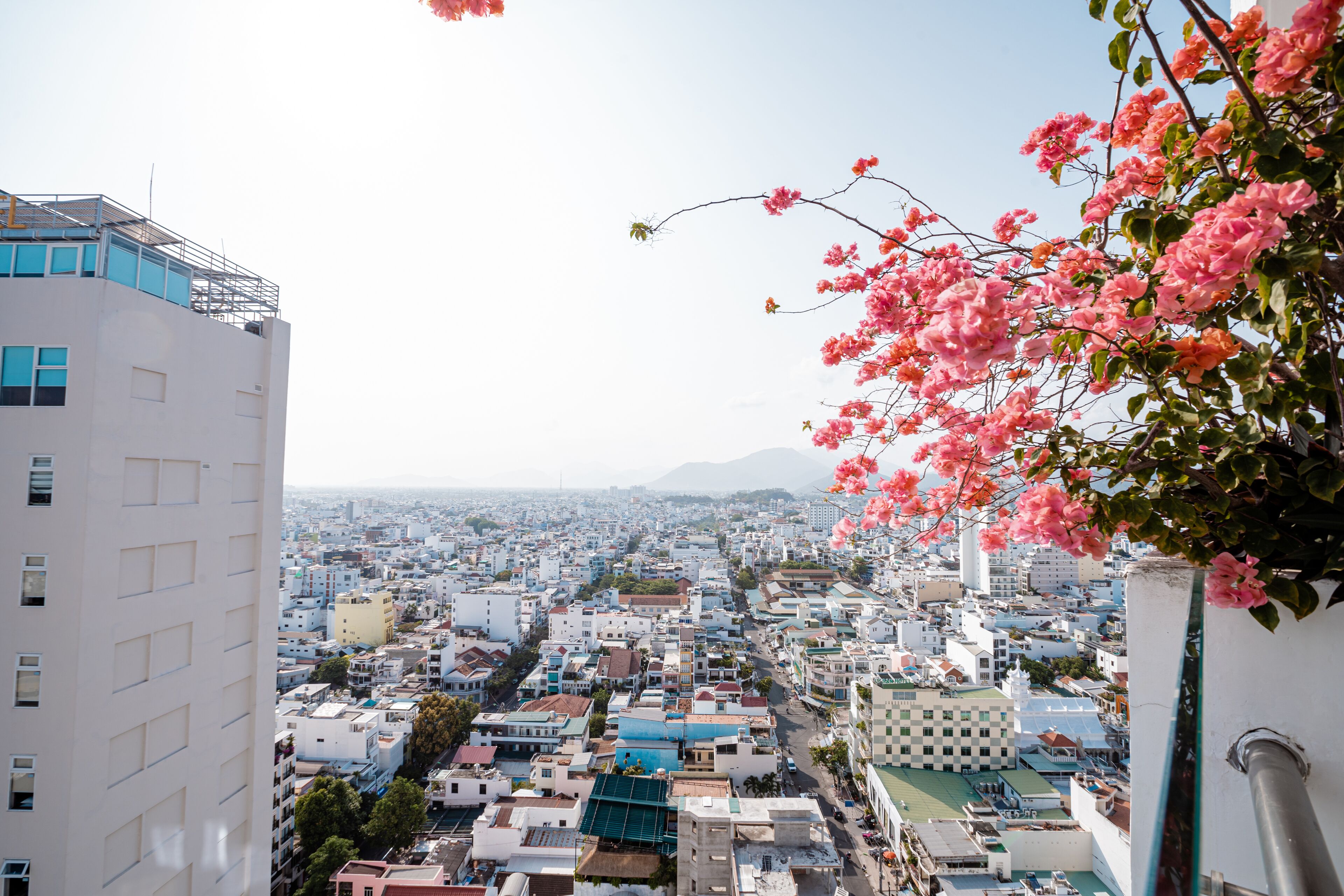 Un paisaje urbano con edificios, cielo despejado y flores rosadas en primer plano.