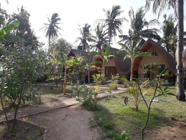 A bungalow with a thatched roof, surrounded by lush greenery and palm trees.