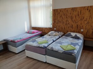 Basic Triple Room | Desk, free WiFi, bed sheets