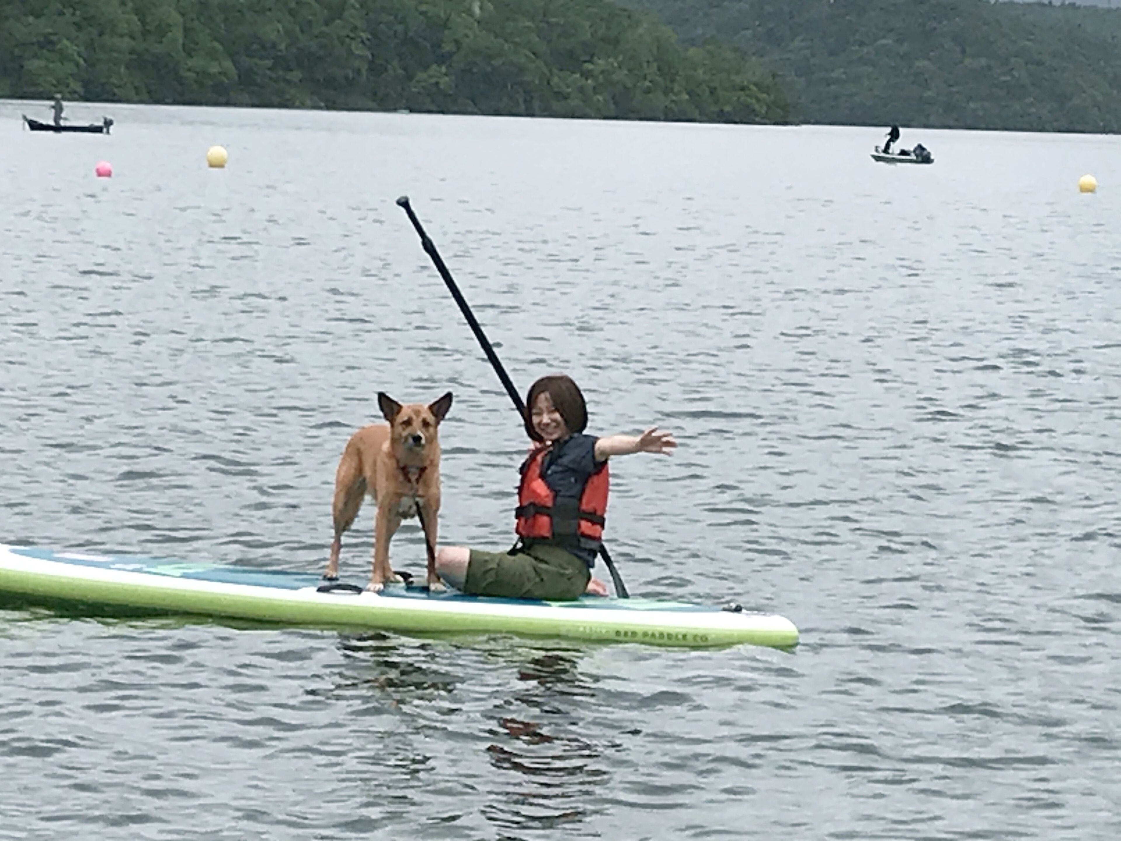 Una persona en una tabla de paddleboard con un perro, rodeada de agua tranquila y boyas.