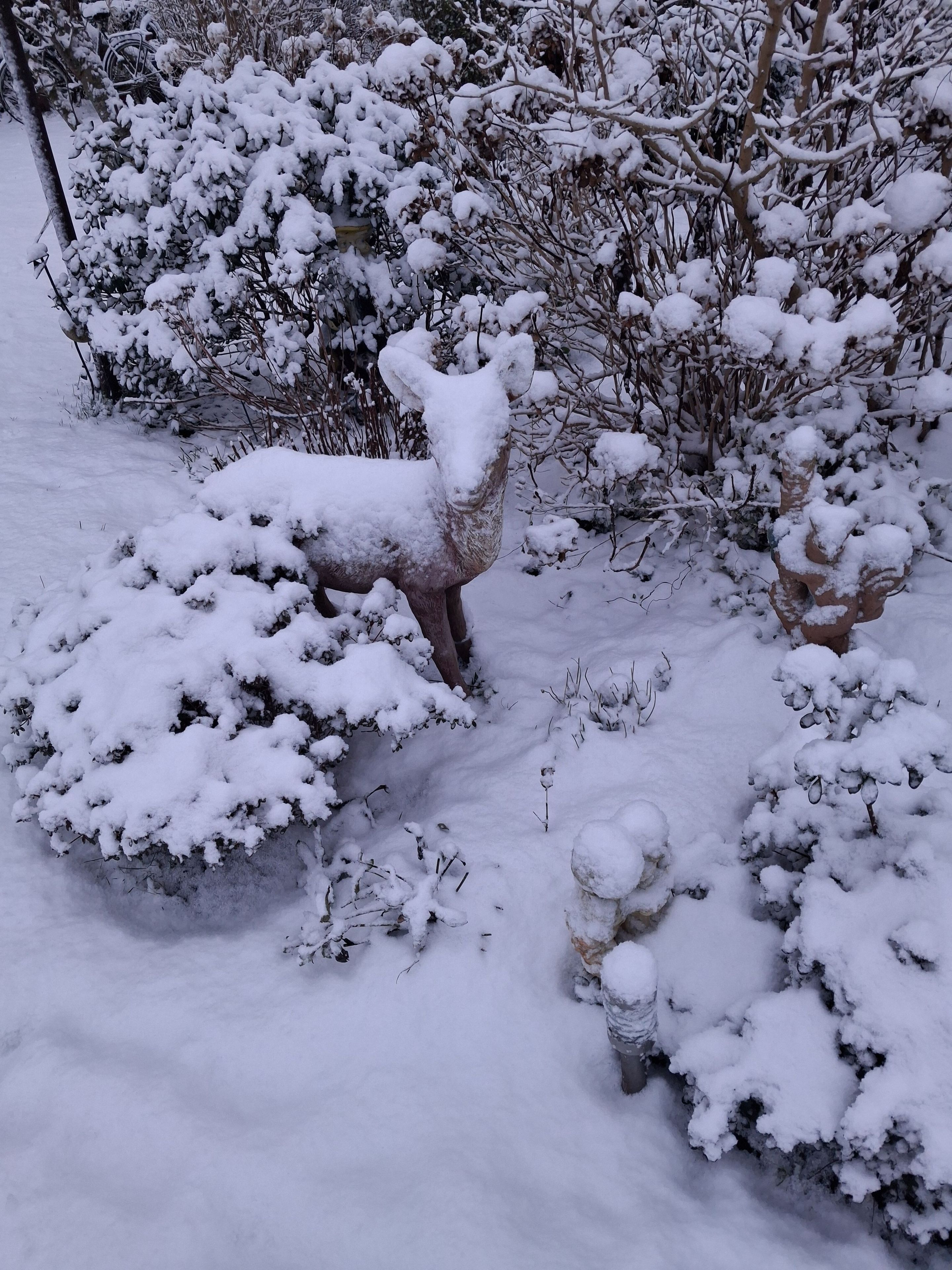 Ein mit Schnee bedeckter Garten mit einer Hirschstatue und verschiedenen Sträuchern.