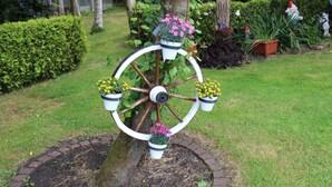 Jardín con una maceta circular decorativa llena de flores.