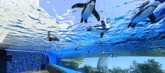 KOKO HOTEL Ikebukuro