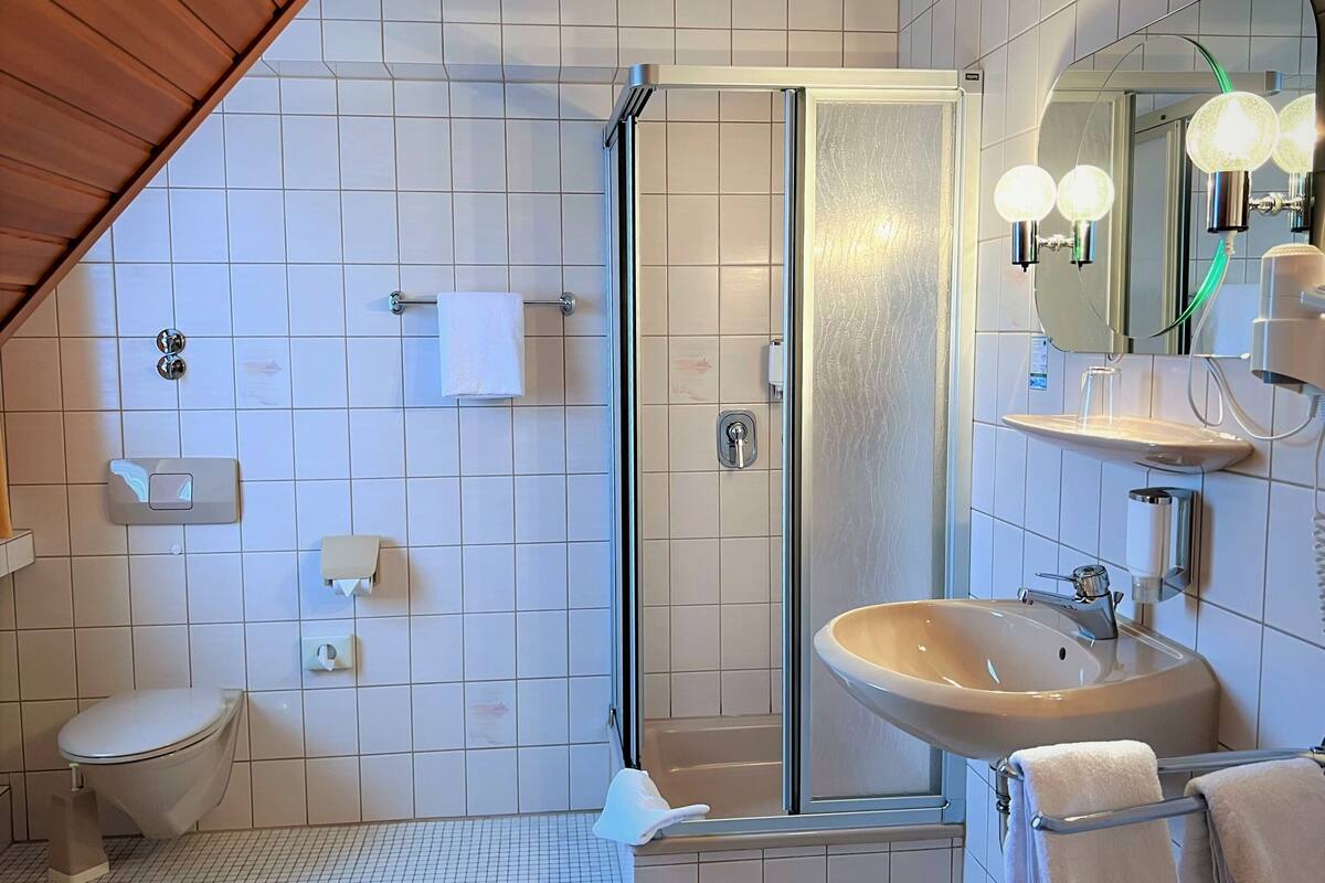 double room | bathroom shower