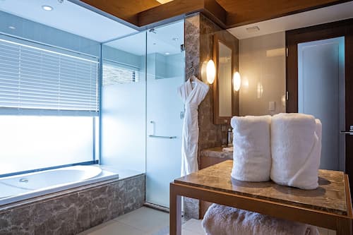 Habitación Premium con 2 camas individuales, no fumadores | Baño | Bañera y ducha independientes y bañera profunda
