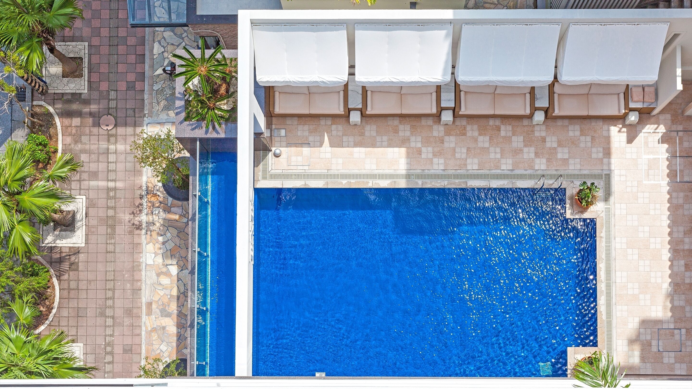 Photo - Okinawa EXES Naha