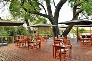 Dining - Jackalberry Chobe (Kasane)