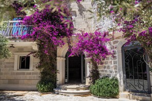 Front of property - Pietra Mare Apartments (Petrovac)