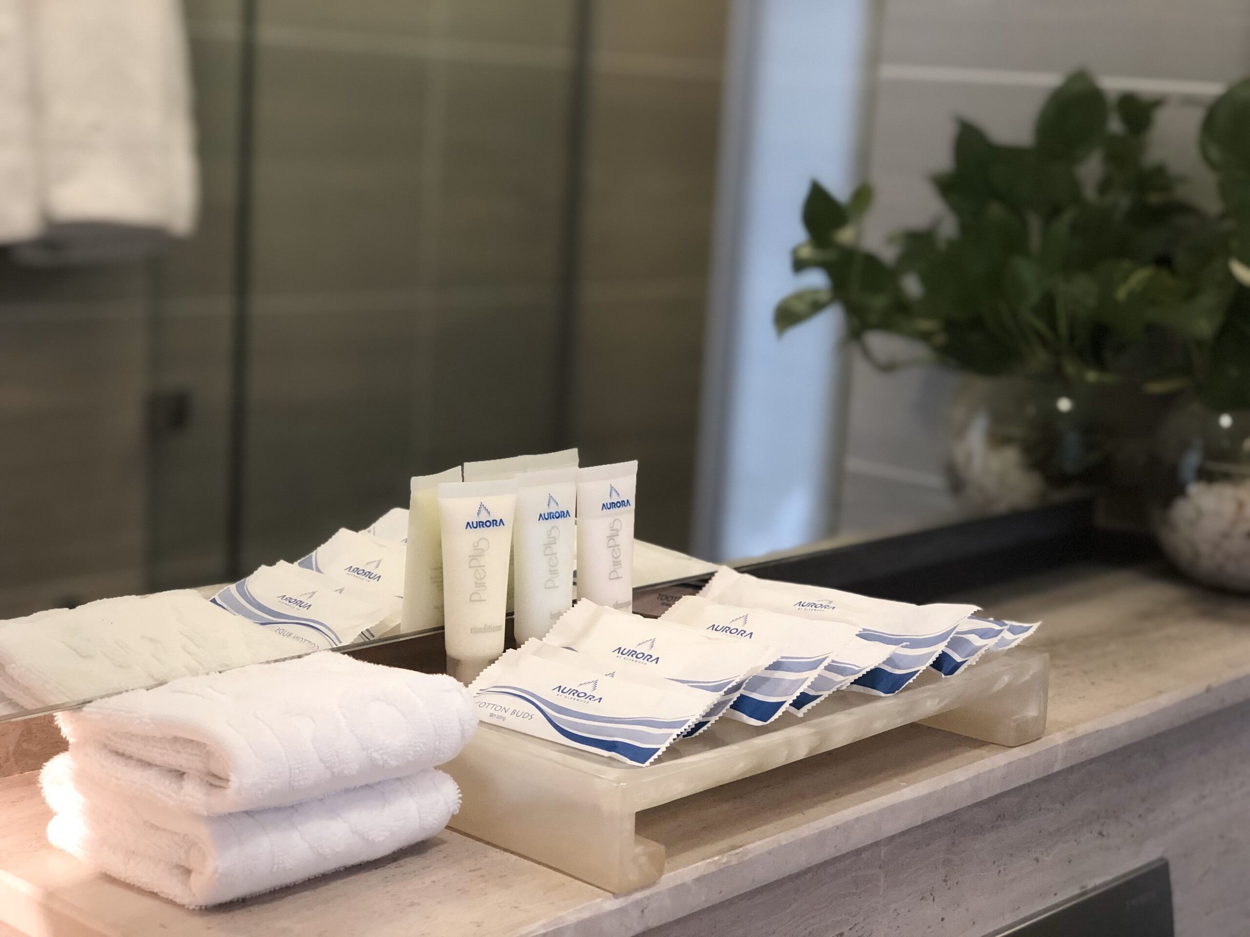 shower, free toiletries, hair dryer, bathrobes