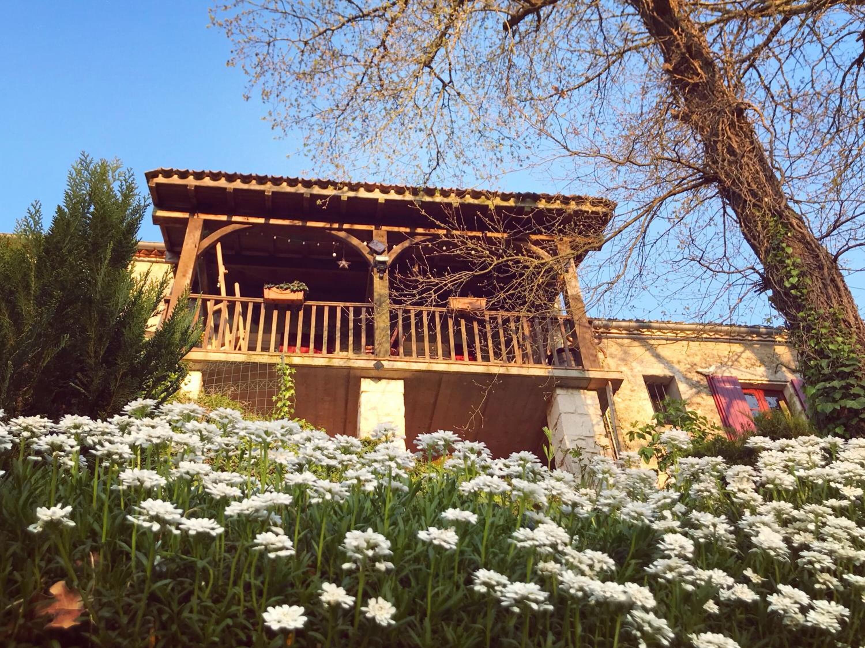 Un bâtiment traditionnel doté d’un balcon, entouré de fleurs blanches.