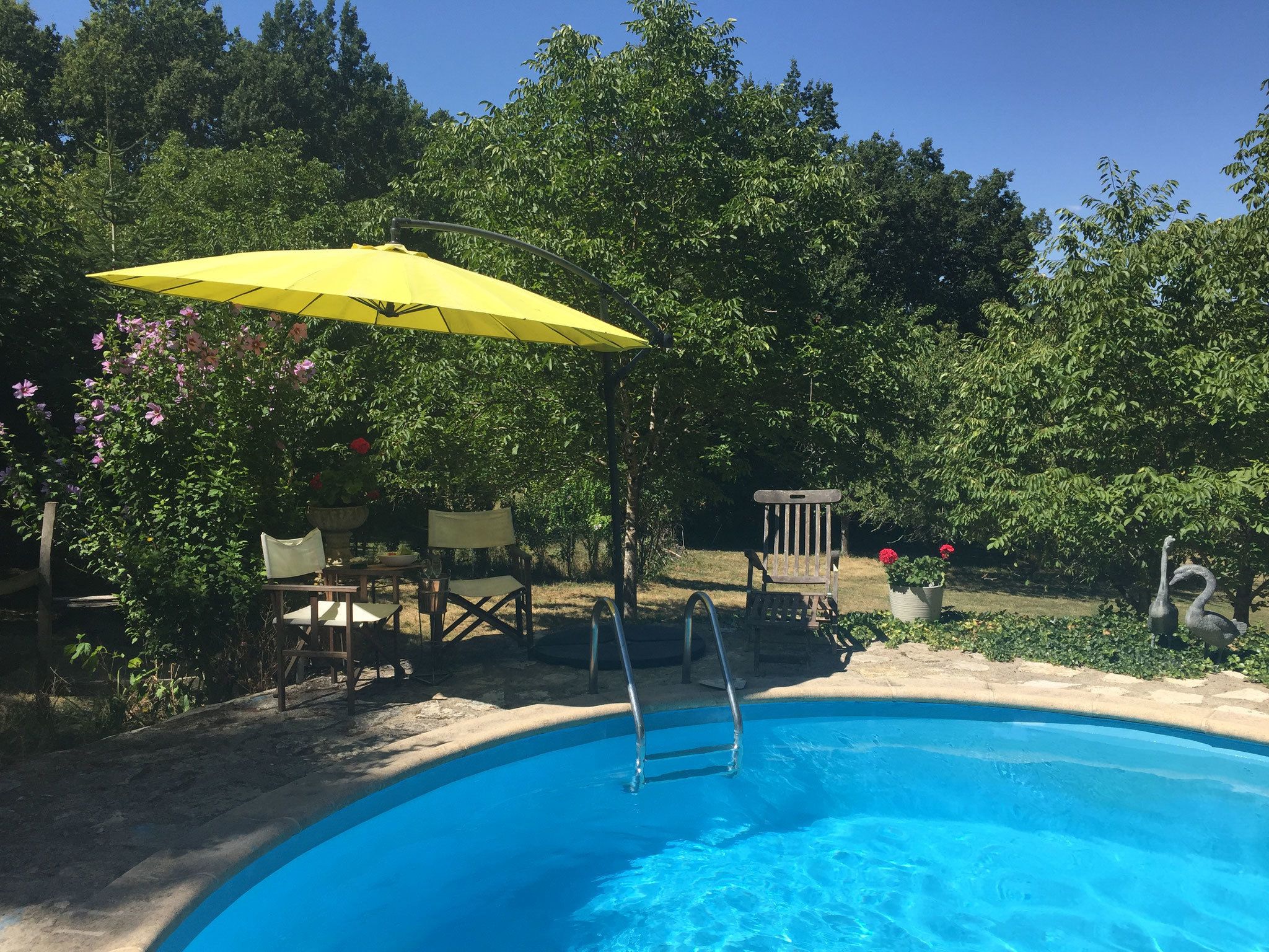 Une piscine avec un parasol jaune, entourée de verdure et de mobilier d’extérieur.