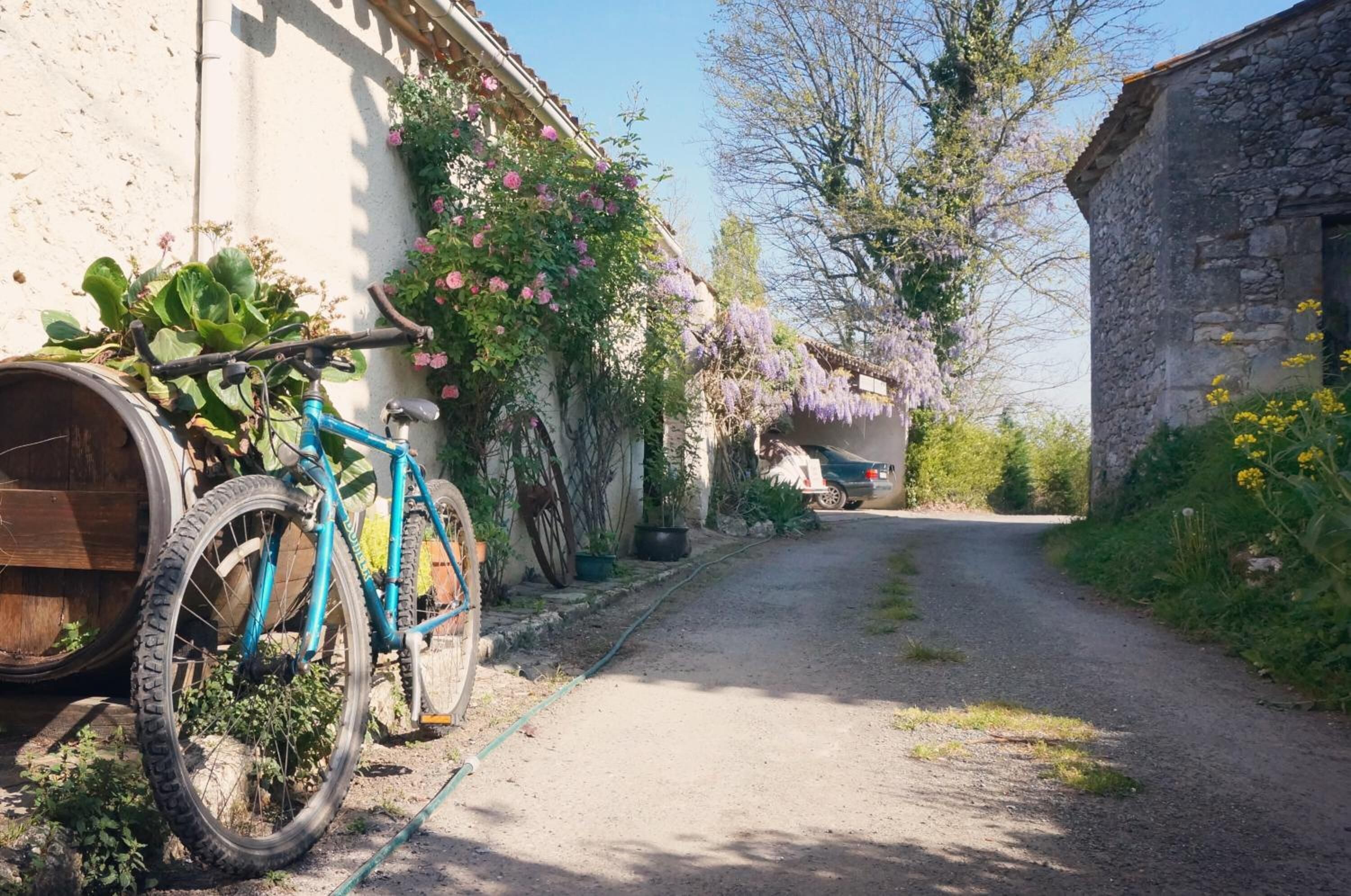 Une étroite route de campagne bordée de bâtiments en pierre et d’une végétation luxuriante.