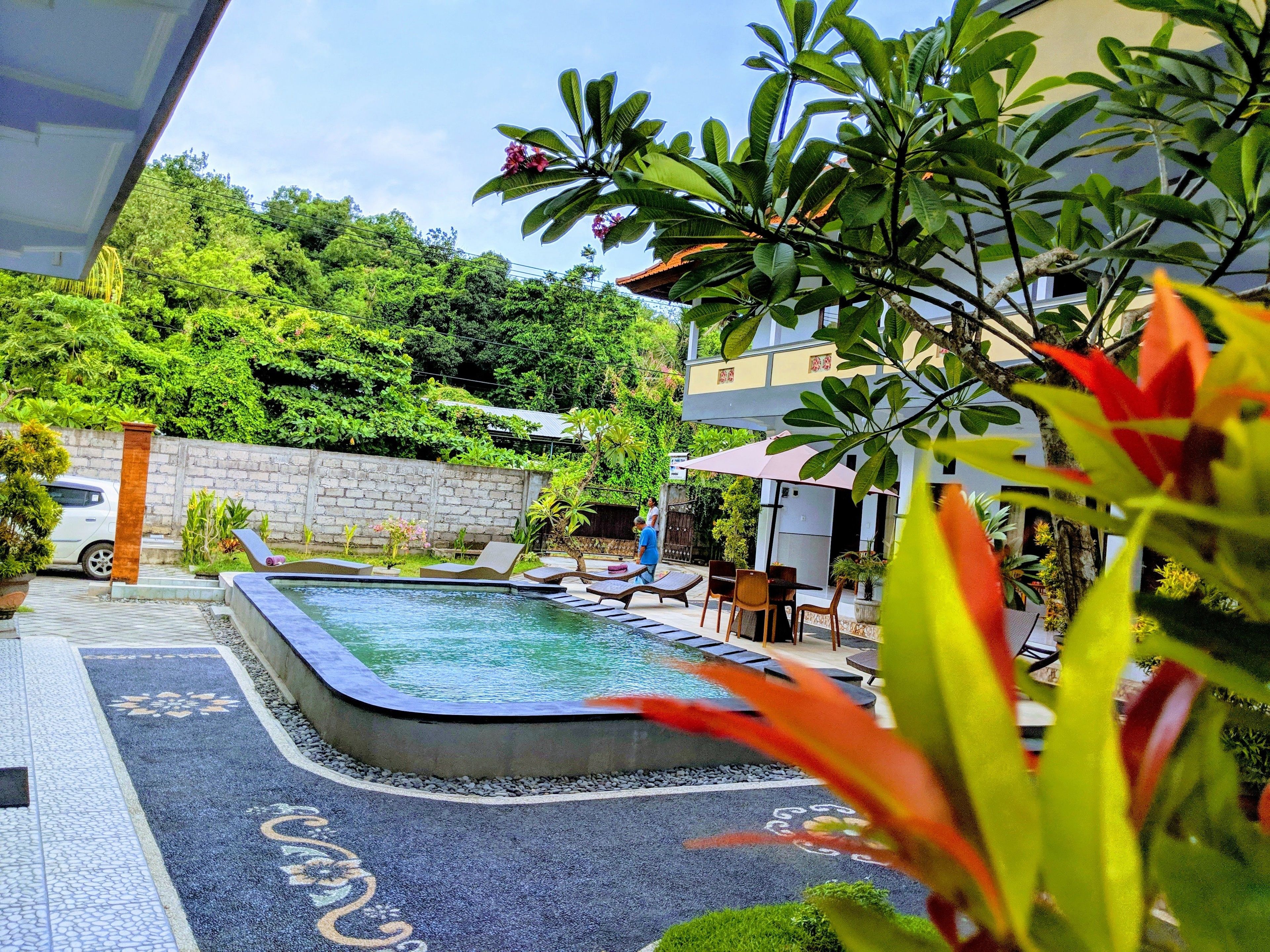 A swimming pool with lounge chairs, surrounded by greenery and a stone wall.