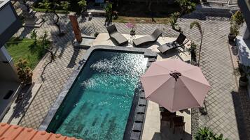 Outdoor pool, sun loungers