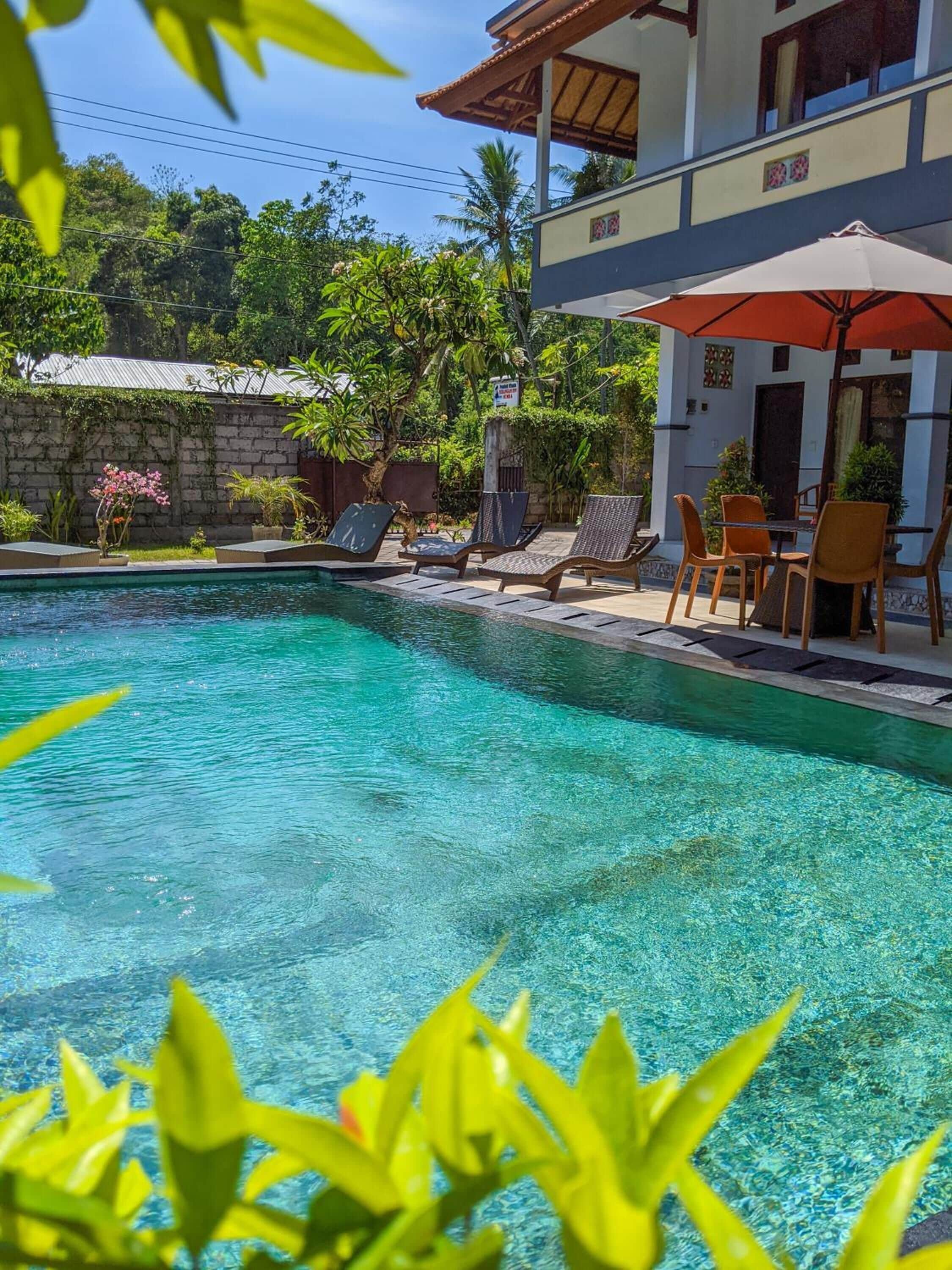 Outdoor pool, sun loungers
