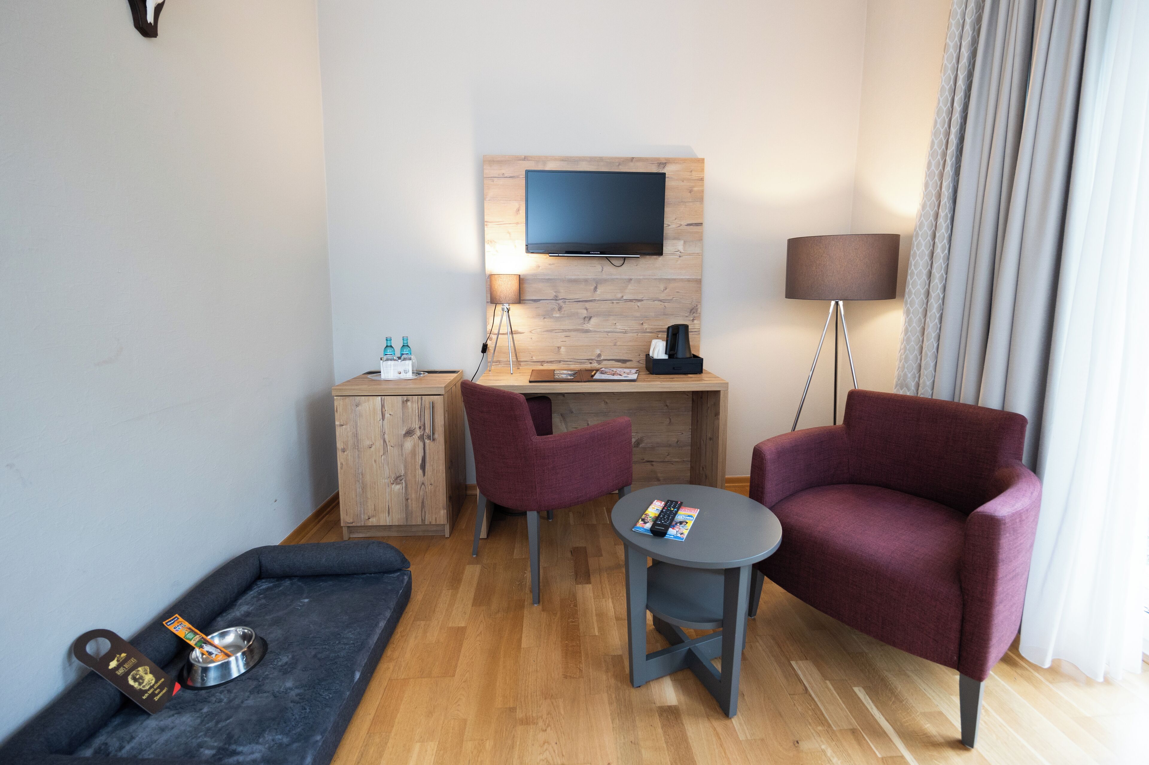 A compact hotel room with a wooden desk, two chairs, a TV mounted on the wall, a small table, a sofa, a lamp, and a pet bed.