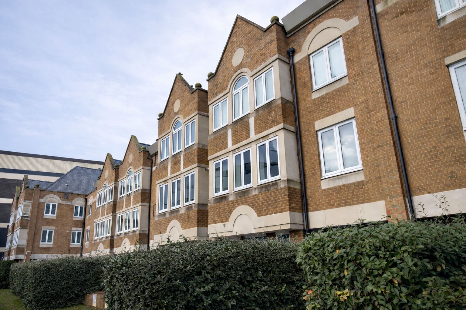 A row of brick townhouses with multiple windows and a hedge in the foreground.