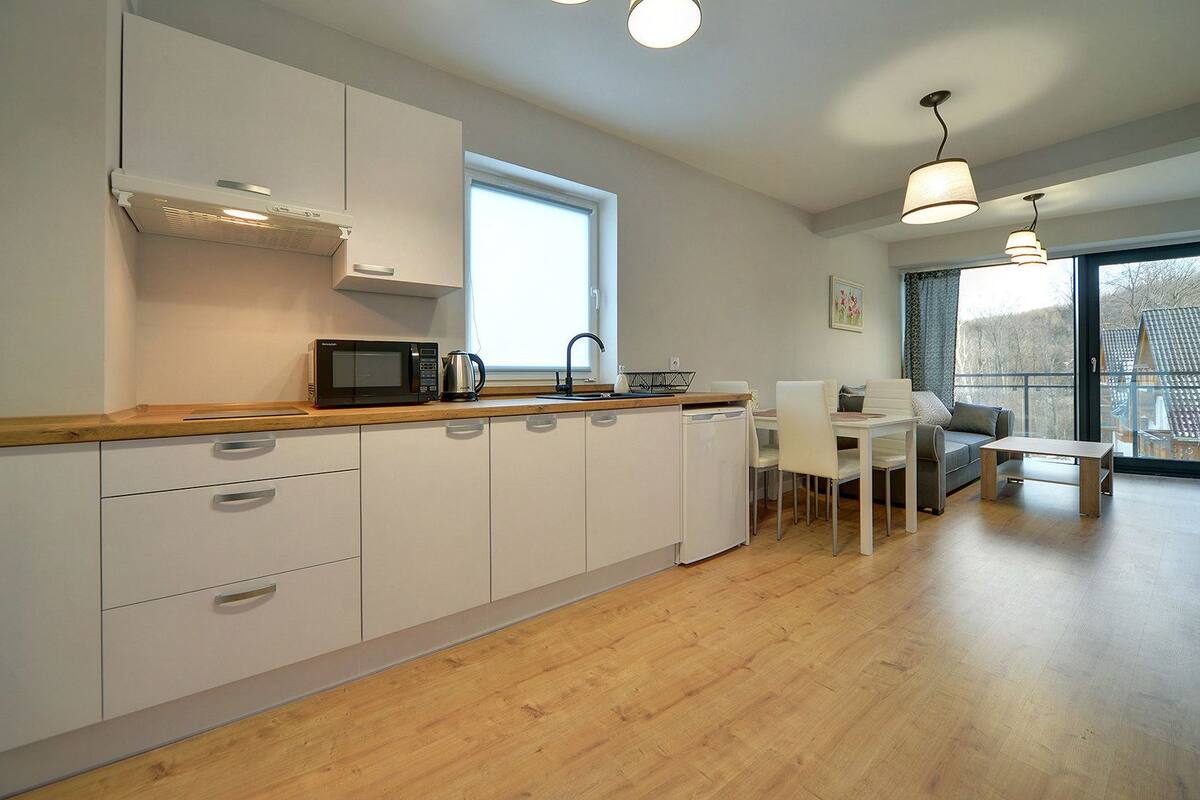 Fridge, microwave, stovetop, electric kettle