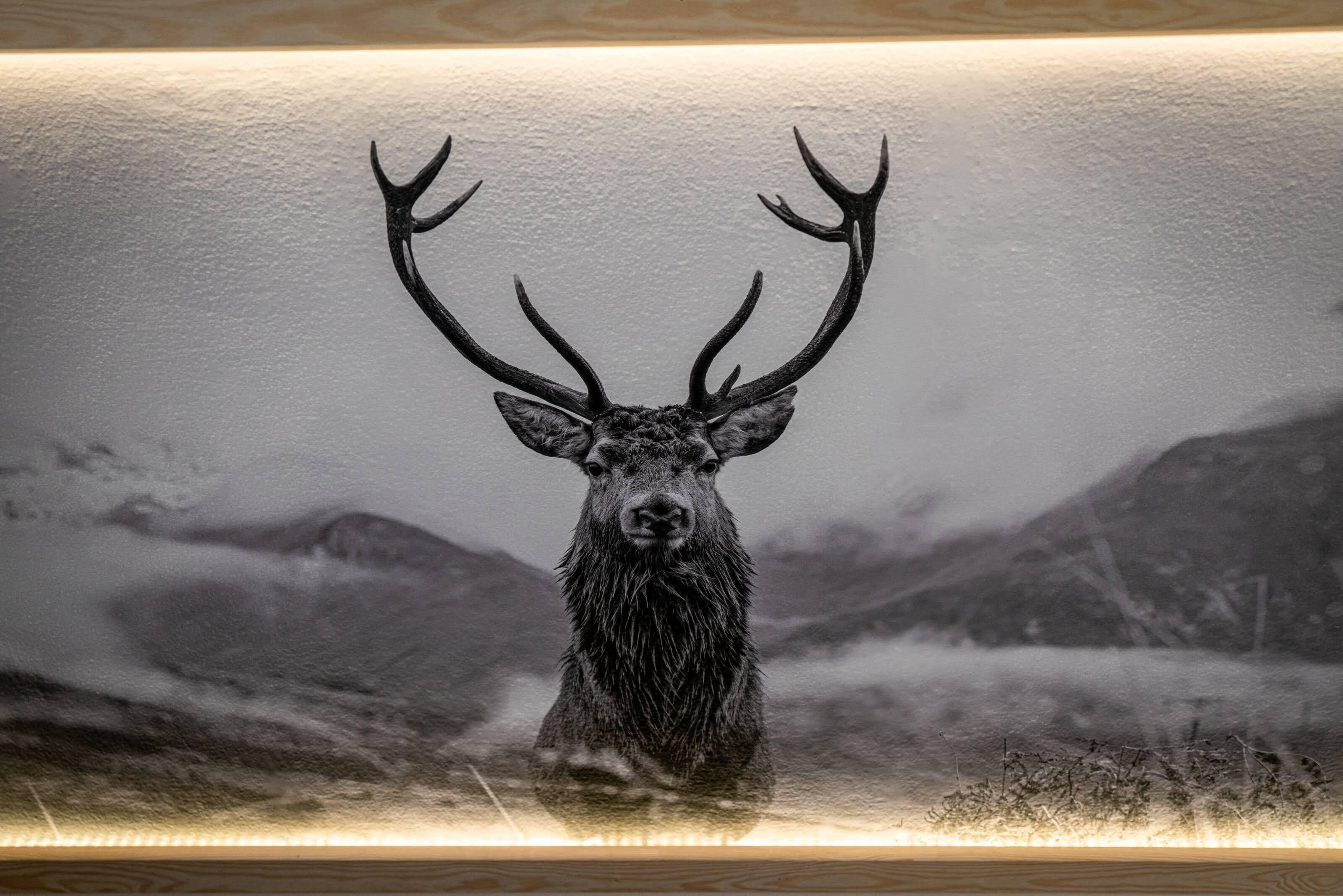 Foto - Liberta INN - Pokoje Gościnne