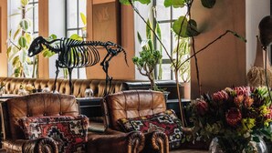 A cozy lounge area with leather sofas, a skeleton sculpture, and a variety of plants. - Gorgeous George by Design Hotels (Cape Town)