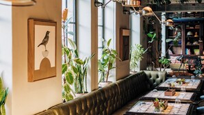 A restaurant with a long, cushioned bench seating area, tables with place settings, and hanging plants. - Gorgeous George by Design Hotels (Cape Town)