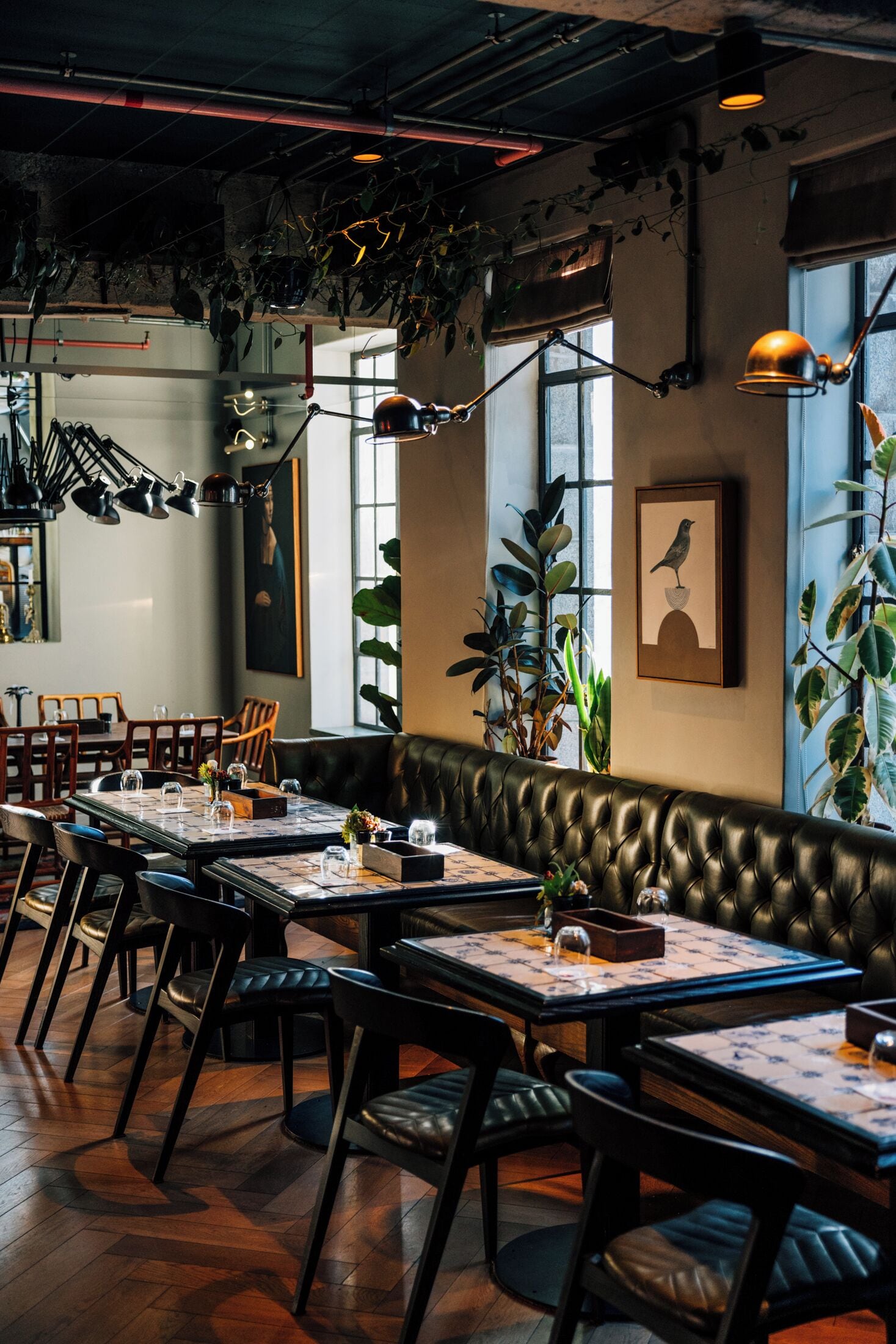 Un restaurante con mesas de madera, asientos tipo banqueta de cuero y plantas colgantes.