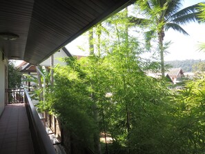 View from property - Queen's House (Luang Prabang)