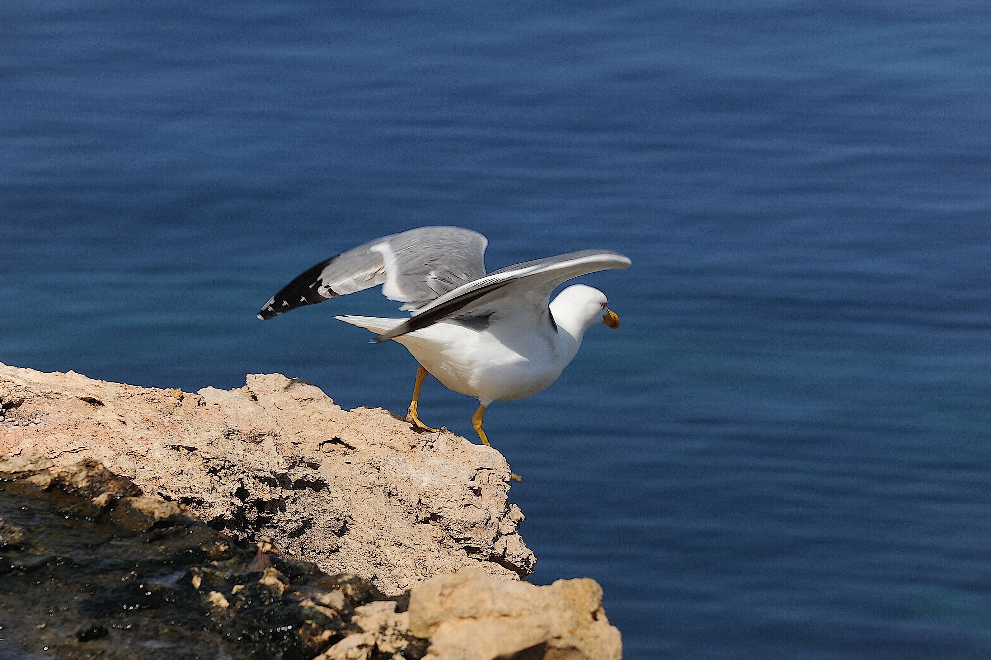 city view from property