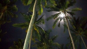 Tall palm trees against a dark sky with a visible moon. - Mahawewa Nature Resort and SPA (Tangalle)