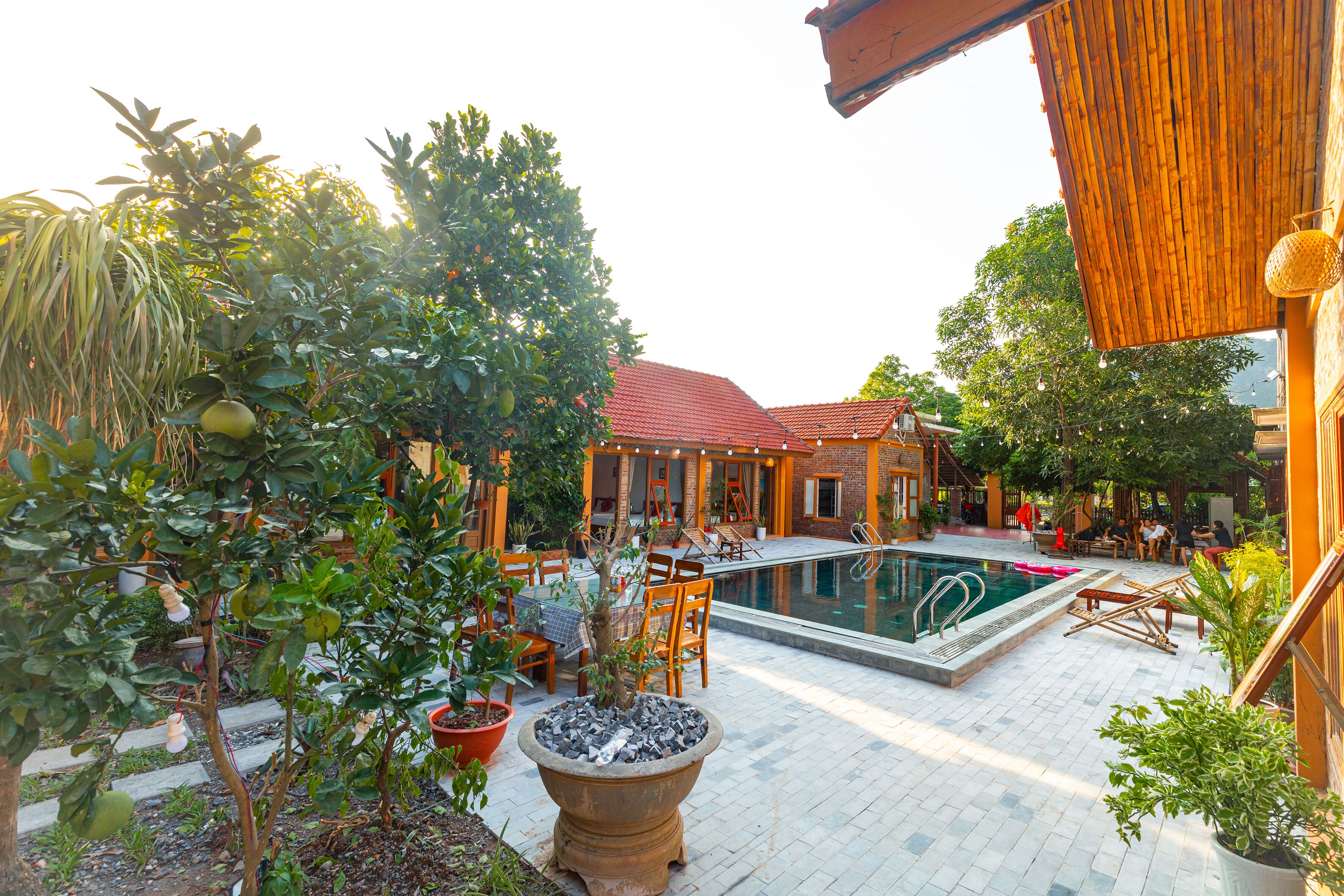A pool area with lounge chairs, a table, and a potted plant.