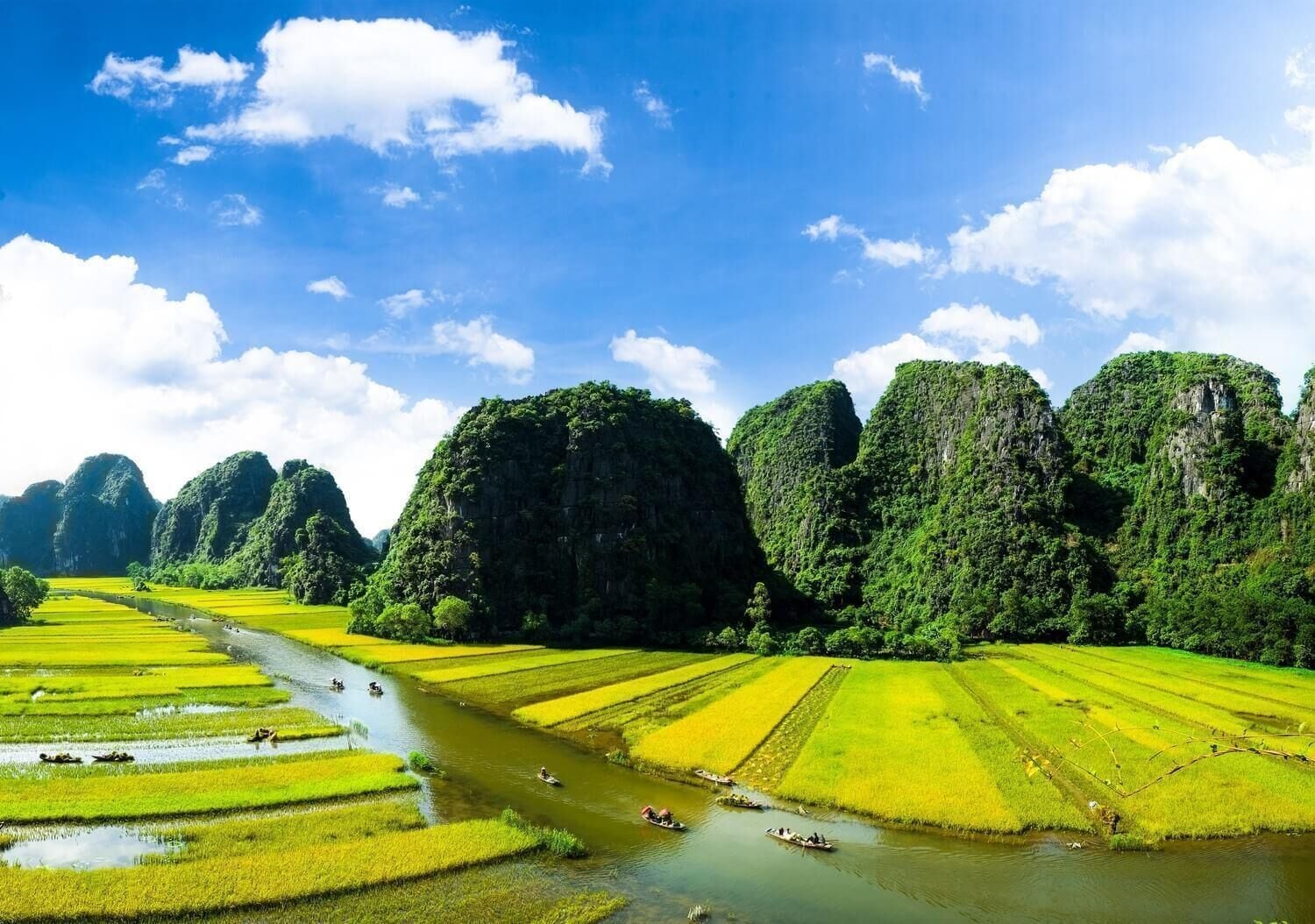 Un paysage composé de rizières en terrasses et d’une rivière, le tout entouré de formations karstiques calcaires.