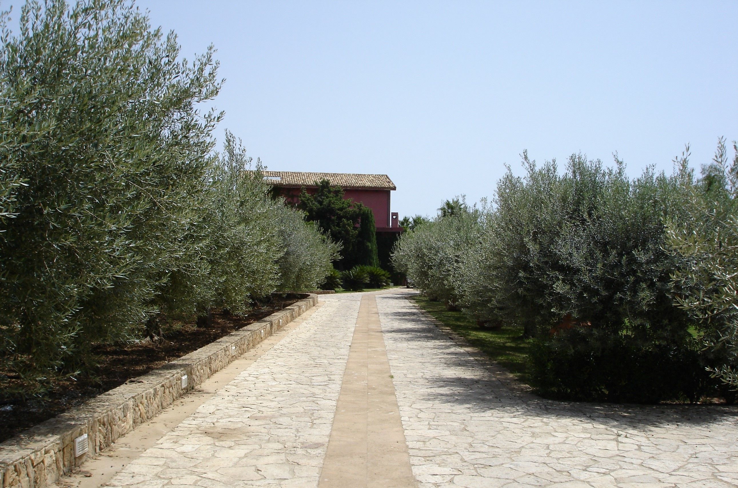 Un chemin pavé, bordé d’oliviers, mène à un bâtiment dont le toit est rouge.