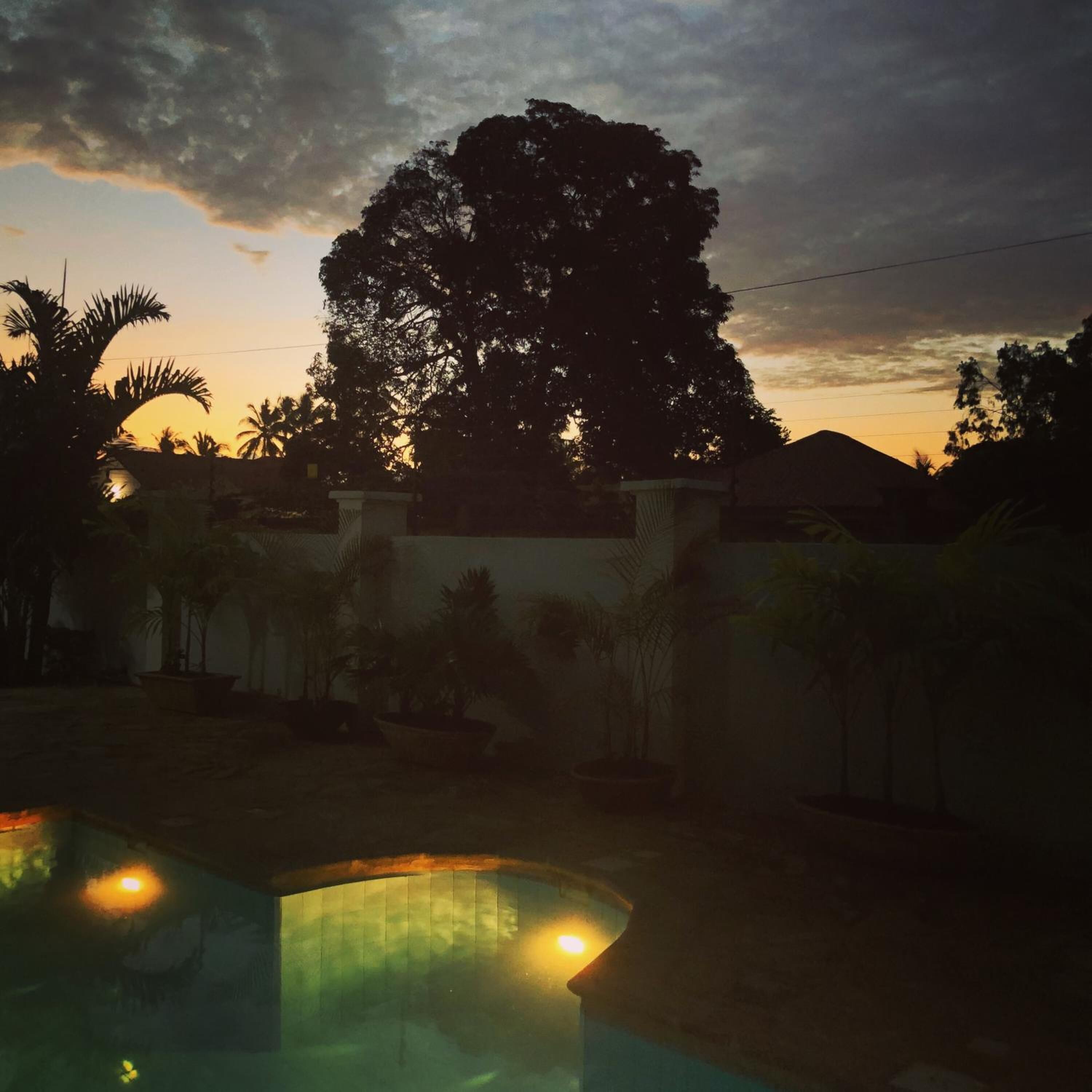 outdoor pool, pool umbrellas