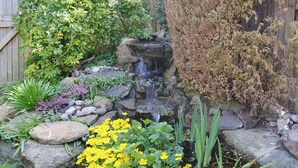 Un jardin agrémenté d’une petite cascade, entouré de différentes plantes et de rochers.