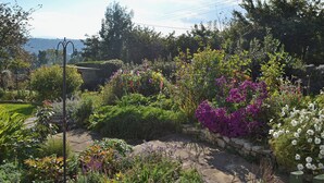 Ein Garten mit verschiedenen Pflanzen und Blumen, einer Steinmauer und einem Metallzaun.